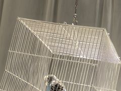 -保纳大酒店(大圩村店)