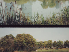 -艾溪湖湿地公园