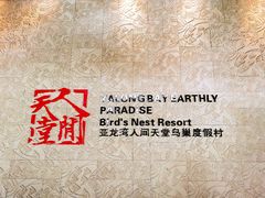 -三亚亚龙湾人间天堂鸟巢度假村