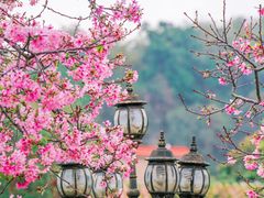 -宝墨园景区
