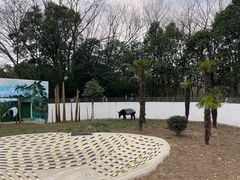 -合肥野生动物园