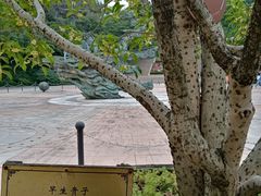 -杭州少年儿童公园