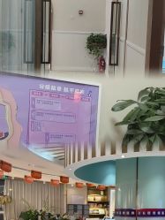 -恒博天姿医疗美容