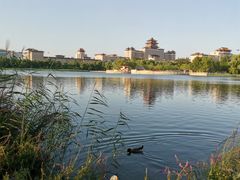 -莲花池公园