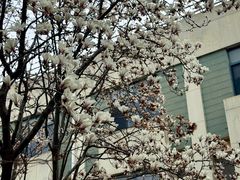 -南京医科大学(江宁校区)