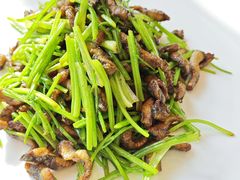 西茜蒜片炒鳝丝-望乡楼上海菜(日月光店)