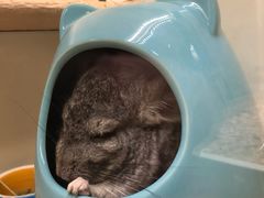 -龙猫仔乐园(惠福东路店)