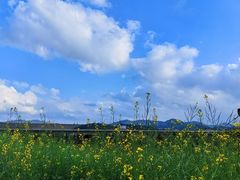 -光明小镇欢乐田园