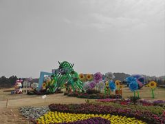 -空港花田景区