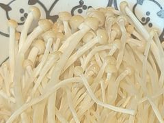阿坝黄金针菇-皇城老妈川味火锅·大连海鲜火锅(港湾店)