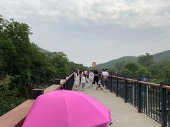 -石家庄市动物园