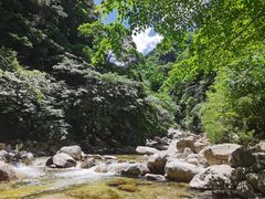 -青峰峡国家森林公园