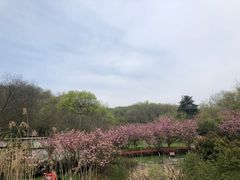 -南京市江宁方山