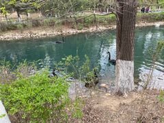 -长白岛森林公园