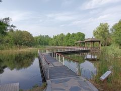 -同里国家湿地公园