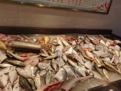 -长平肥姐白粥·海鲜打冷