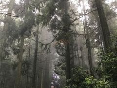 -井冈山风景名胜区-黄洋界