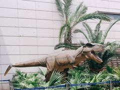 -湖南省地质博物馆