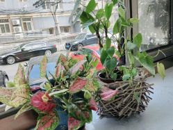 -相约芊艺护肤造型