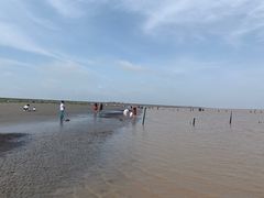 -南汇嘴观海公园