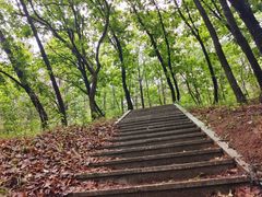 -帽儿山国家森林公园