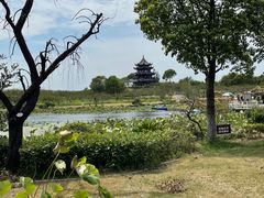 -上海海湾国家森林公园