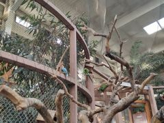 -南宫五洲植物乐园