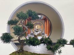 -腾冲和顺柏联酒店