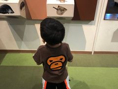 -大阪儿童乐园