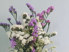 -三圣花乡旅游区