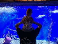 -太平洋海底世界