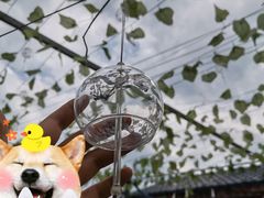 -天眼洞·花岭风景区