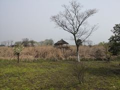 -梁鸿国家湿地公园