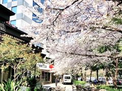 -玛格萝妮比萨屋(四平店)