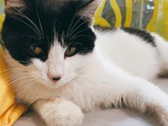 -五进制 Coffee Shop