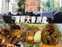 -百好乐宠物友好餐厅(朝外大街店)