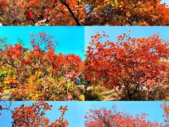 -周口店坡峰岭风景区