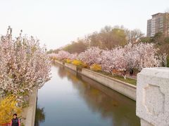 -海棠花溪(元大都城垣遗址公园)