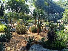 -云溪植物园