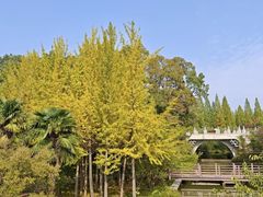 -洛阳市隋唐城遗址植物园