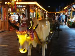 -东南亚风情赶摆街夜市