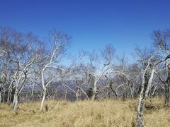 -凤凰山国家森林公园