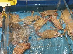 -好兄弟郭巨海鲜(天一阁店)