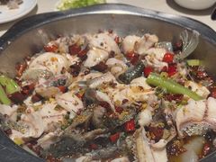 -万和源炝锅城·活鱼现炝(文艺北路店)