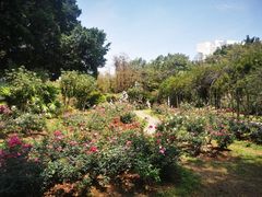 -人民公园(罗湖区)