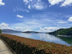 -逸廊大堂吧-下午茶·简餐-千岛湖自由洲际殿