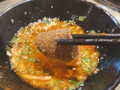 生态毛肚-销魂美蛙鱼头火锅(上海首店)