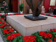 -新开元大酒店(花雨路店)