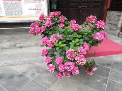 -湘子庙