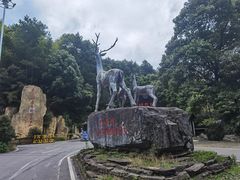 -长沙黑麋峰国家森林公园